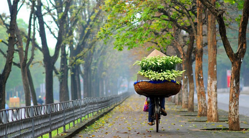 Guides et conseils de voyage Vietnam en automne