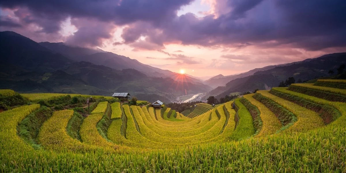 <strong>Guides et conseils de voyage Vietnam en été</strong>