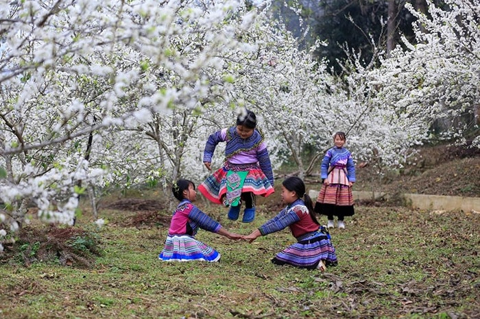 Guides et conseils de voyage Vietnam en printemps