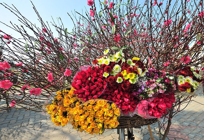 Guides et conseils de voyage Vietnam en printemps