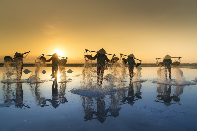 Guides et conseils de voyage Vietnam en printemps