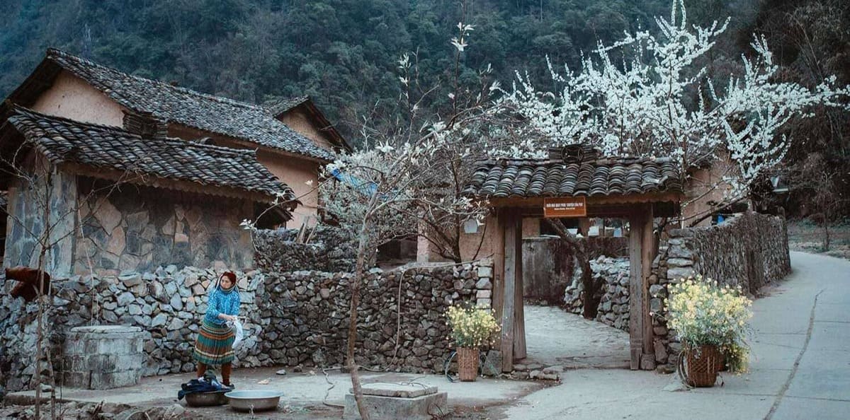 Le Loop de Ha Giang  Une Aventure Inoubliable au Cœur du Vietnam
