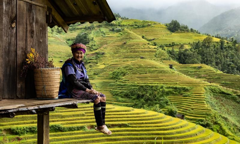 Le Nord Vietnam de Mai Ă Septembre