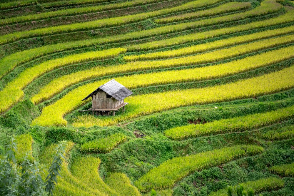 Les Circuits du Nord Vietnam 2 semaines
