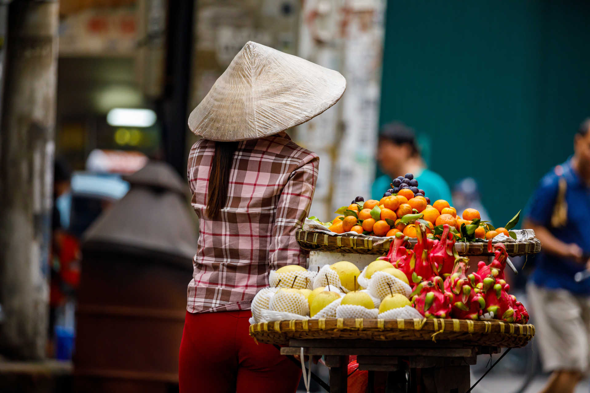 Les Circuits du Nord Vietnam 2 semaines