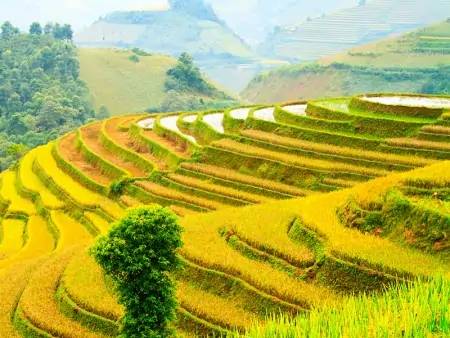 Meilleure période pour aller - visiter le vietnam - Laos - Cambodge