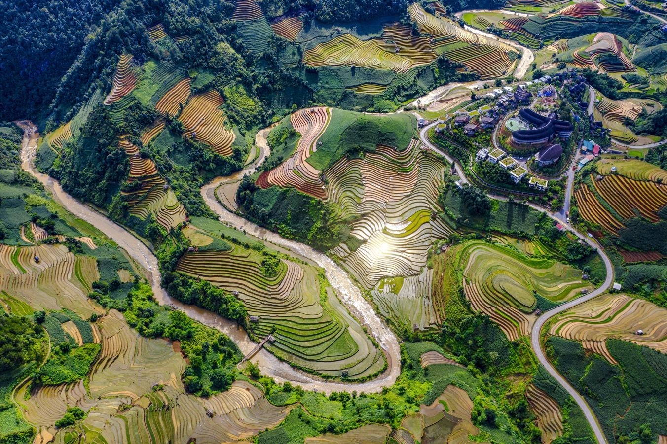 Où aller en mai au Vietnam pour les rizières en terrasses ? Découvrez les plus belles destinations