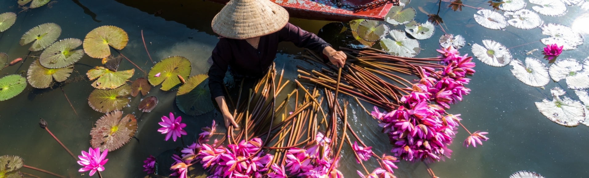 Où partir au Vietnam en Mai? Découvrez les meilleures destinations et activités!