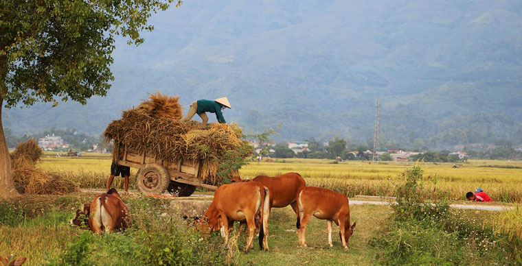 10 bonnes raisons de partir avec notre agence AGENDA TOUR VIETNAM