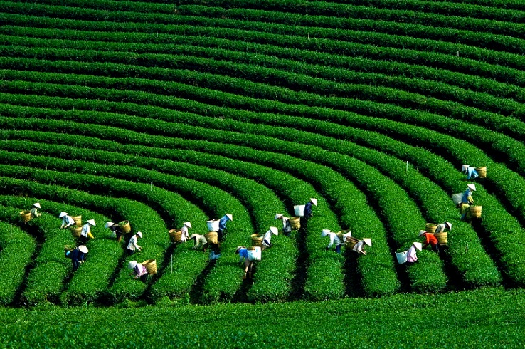 Préparer un voyage au Vietnam en août les essentiels à savoir
