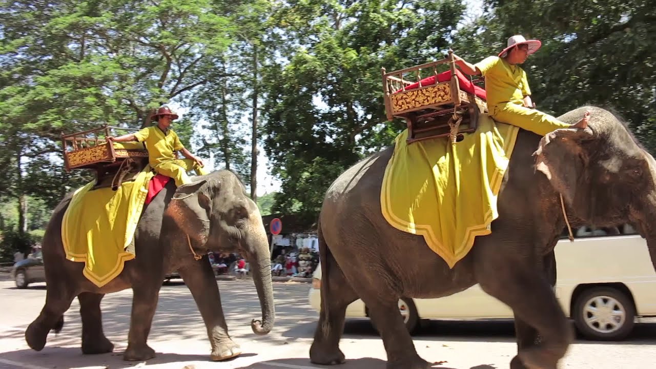 Quand partir au Cambodge ? - Découvrez les meilleures saisons pour visiter ce joyau d'Asie
