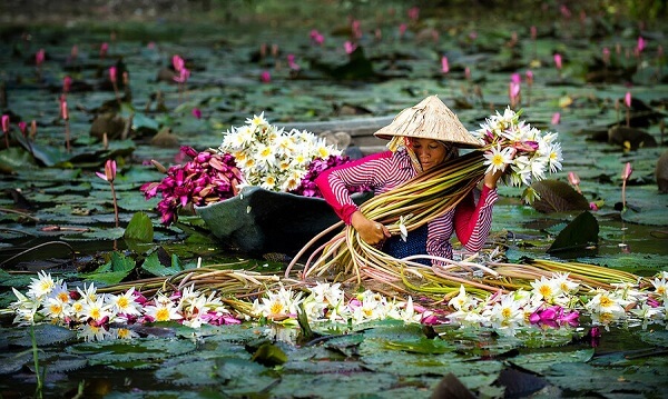 Que visiter dans le sud du Vietnam ?