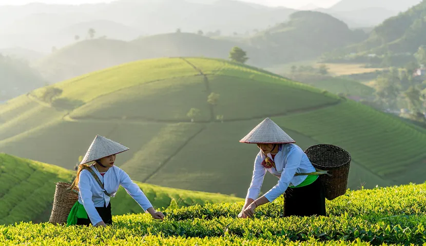 Quel est le meilleur mois pour visiter le Nord du Vietnam ?