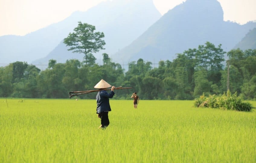 Raisons pour voyager avec Agenda Tour Vietnam