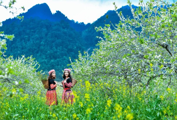 Top 10 destinations de Voyage au Nord Vietnam - Découvrez les trésors cachés et la culture authentique