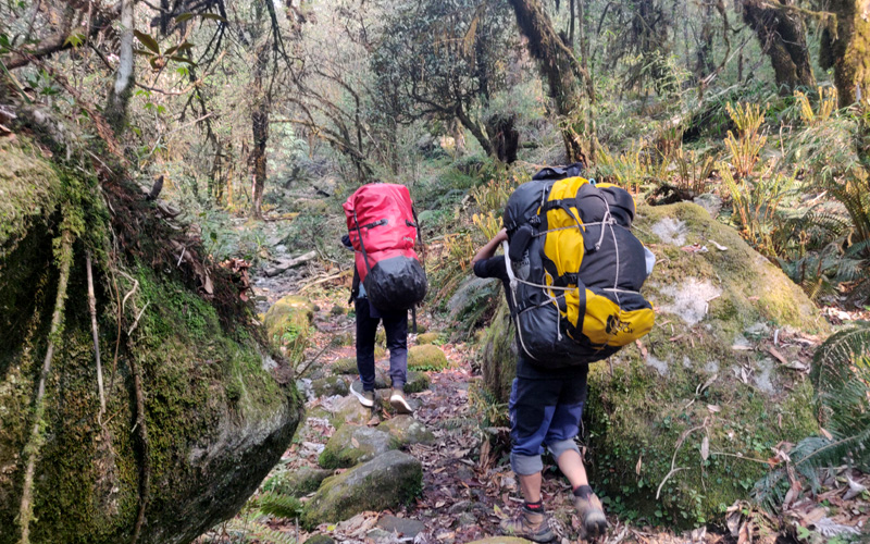 Trekking au Vietnam - Découvrez les merveilles naturelles et culturelles du pays