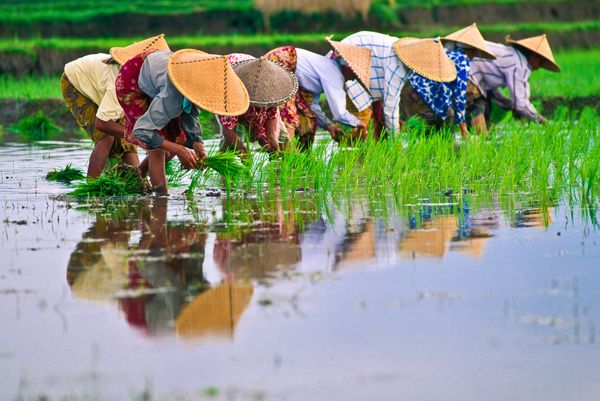 Voyage au Vietnam  Une Aventure Inoubliable