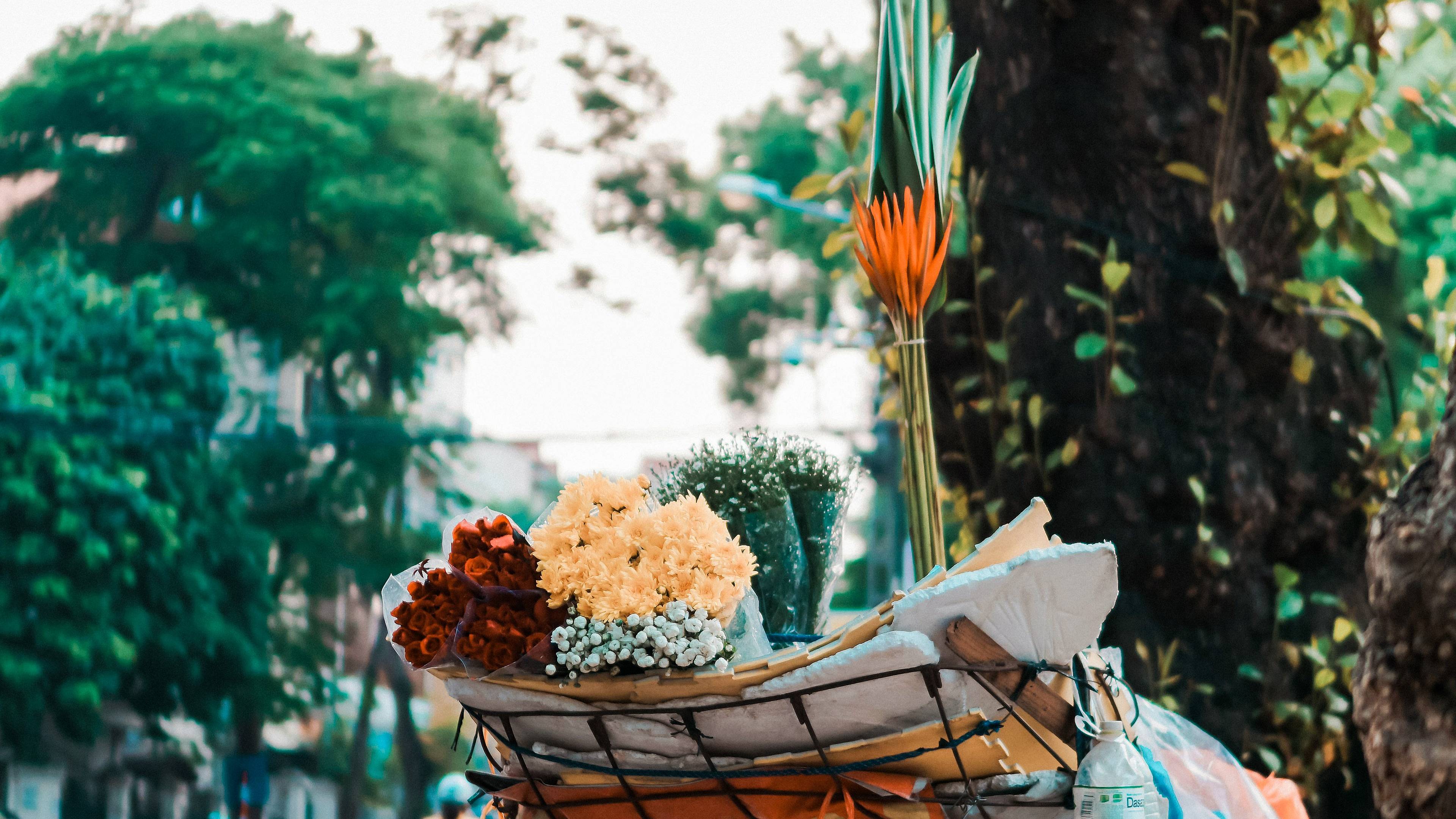 Voyage de luxe Vietnam