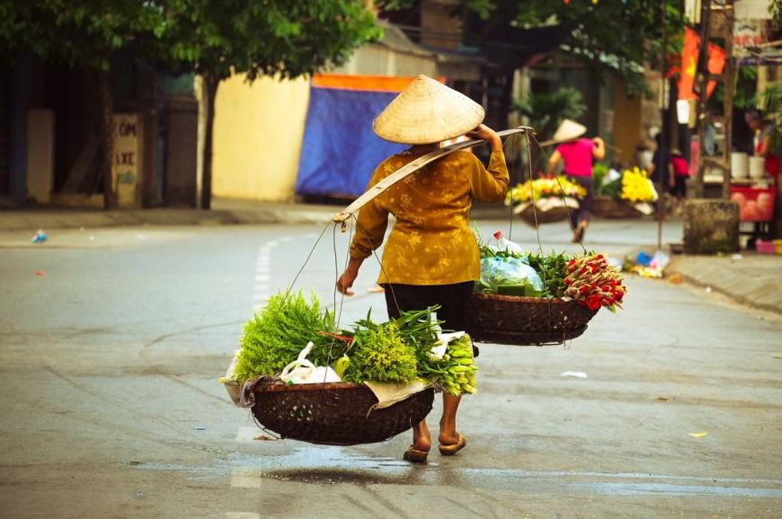 <strong>Voyage Vietnam</strong>: Une Évasion Inoubliable