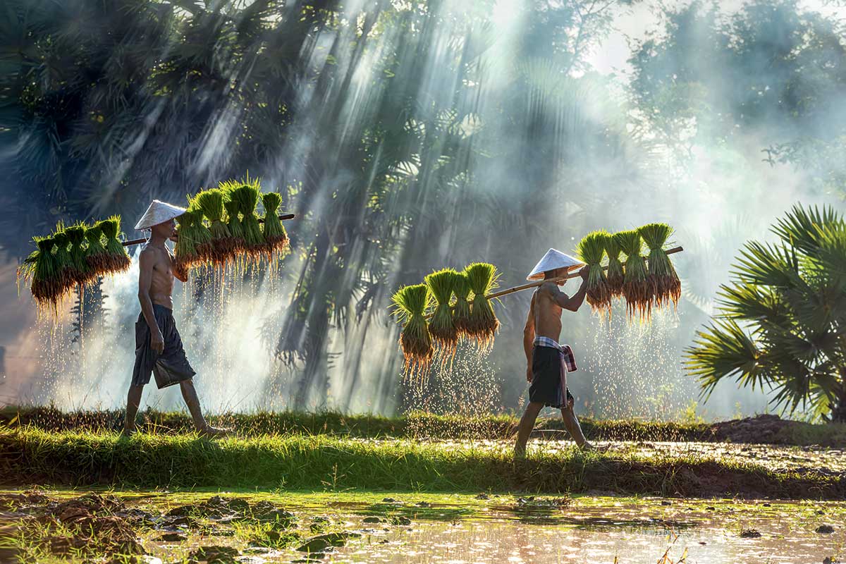<strong>Voyage Vietnam</strong> Une Évasion Inoubliable