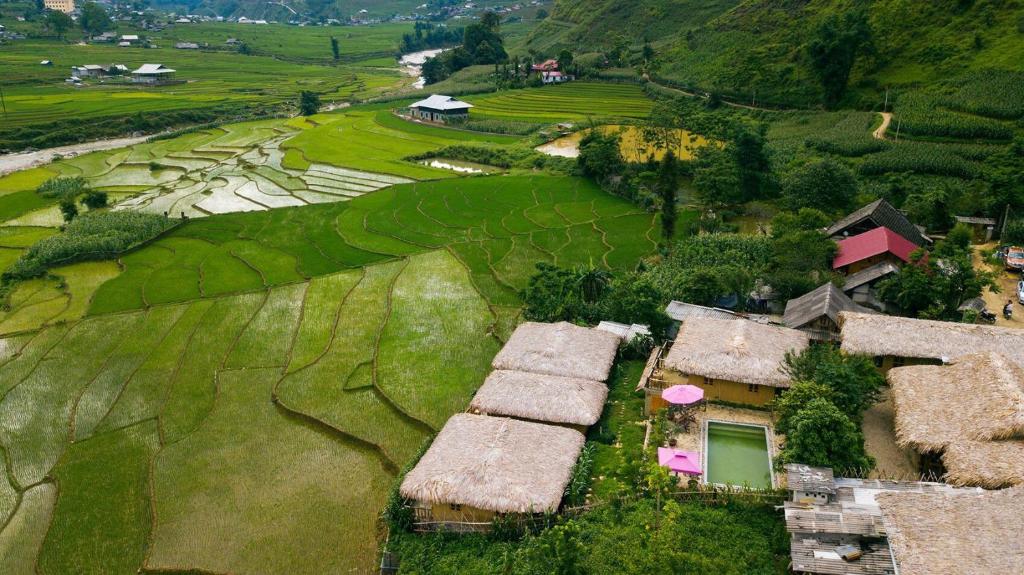 Voyager au Vietnam avec un budget limité;  conseils et astuces