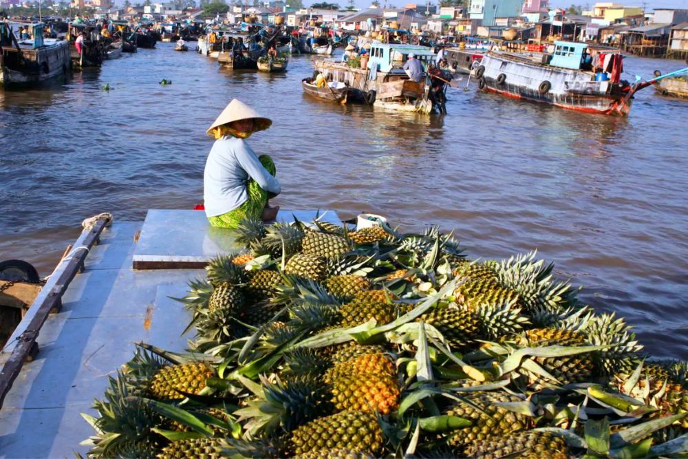 Voyages au Vietnam en Bonne Saison  Octobre à Avril